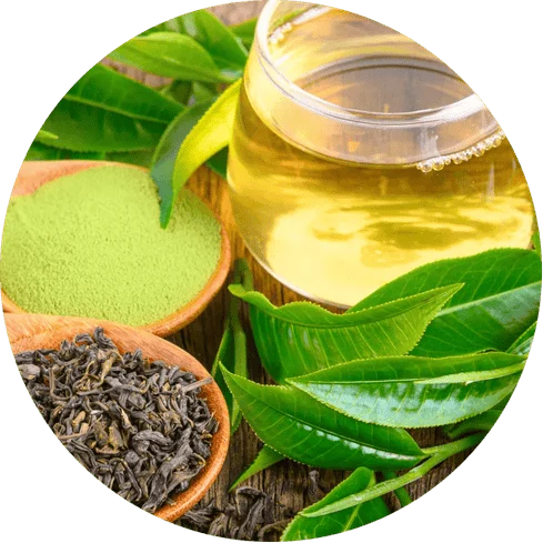 L-Theanine for Calm Focus